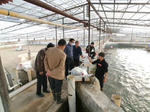九江水產 產得出、運得走、不積壓、不賣難，力促產業平穩有序發展